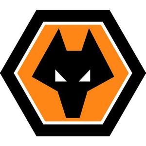 Wolves.vitalfootball.co.uk